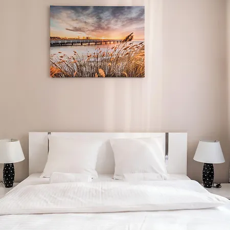 Rentplanet - Miedziana *